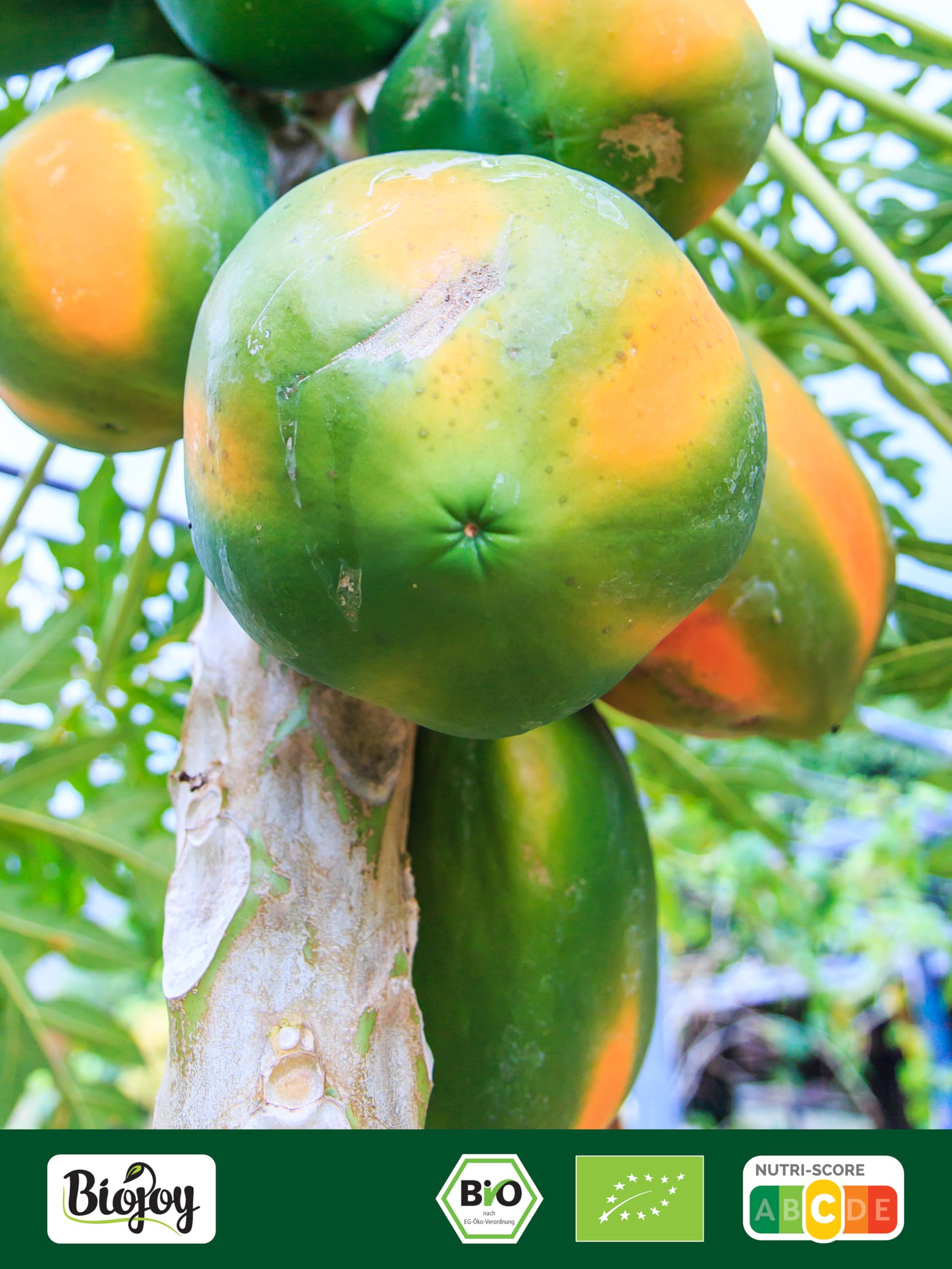 Biojoy Papaya seca BÍO (1 kg), Piezas enteras, sin azúcar añadido y sin azufre