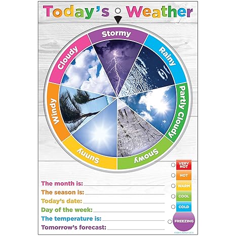 Amazon.com: Ashley Productions ASH91600 Smart Poly™ Weather Smart Wheel