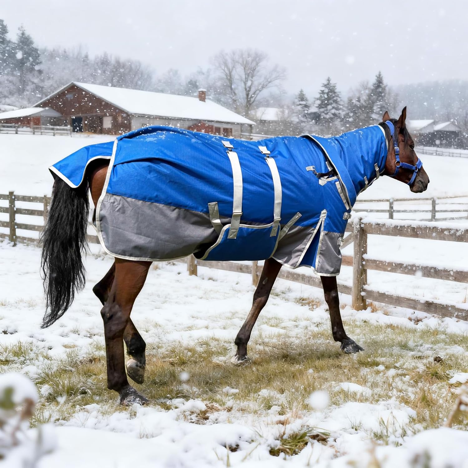 Winter Horse Blanket Horse Turnout Blanket Waterproof 1200D 260g Filled Medium Weight Horse Blanket with Detachable Neck Cover