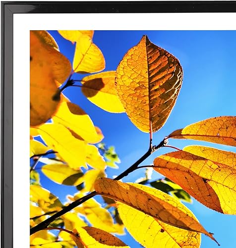 Miniatura 8 de Aynoo Marco negro para póster de 11 x 17 pulgadas, para fotos de 11 x 17 o 9 x 15 pulgadas, marco de collage para montaje en pared, negro, paquete