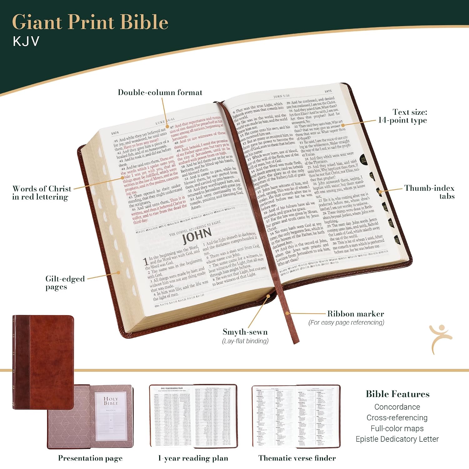 KJV Holy Bible, Giant Print Standard Size Faux Leather Red Letter Edition - Thumb Index & Ribbon Marker, King James Version, Brown Two-tone (KJV Standard GP Editions)