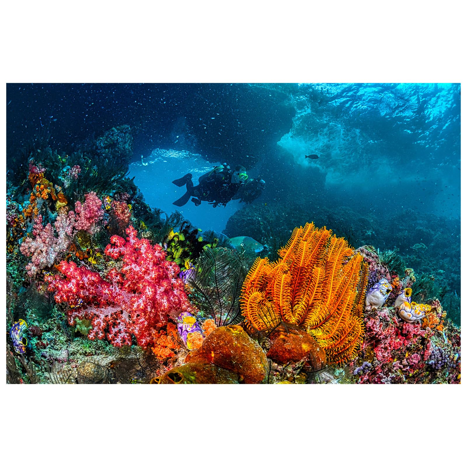 Didooou Self-adhesive underwater aquarium decoration background natural landscaping coral fish tank background aquarium diver background sticker (40 * 80cm/15.7 * 31.5in, coral diver)