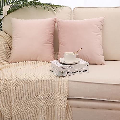 MZPSO Juego de 2 fundas de cojín cuadradas de terciopelo súper suaves y sólidas, decorativas, para sofá, dormitorio o automóvil, 20 x 20 pulgadas,