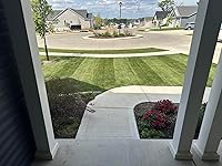 Review Image by James Starrett James Starrett