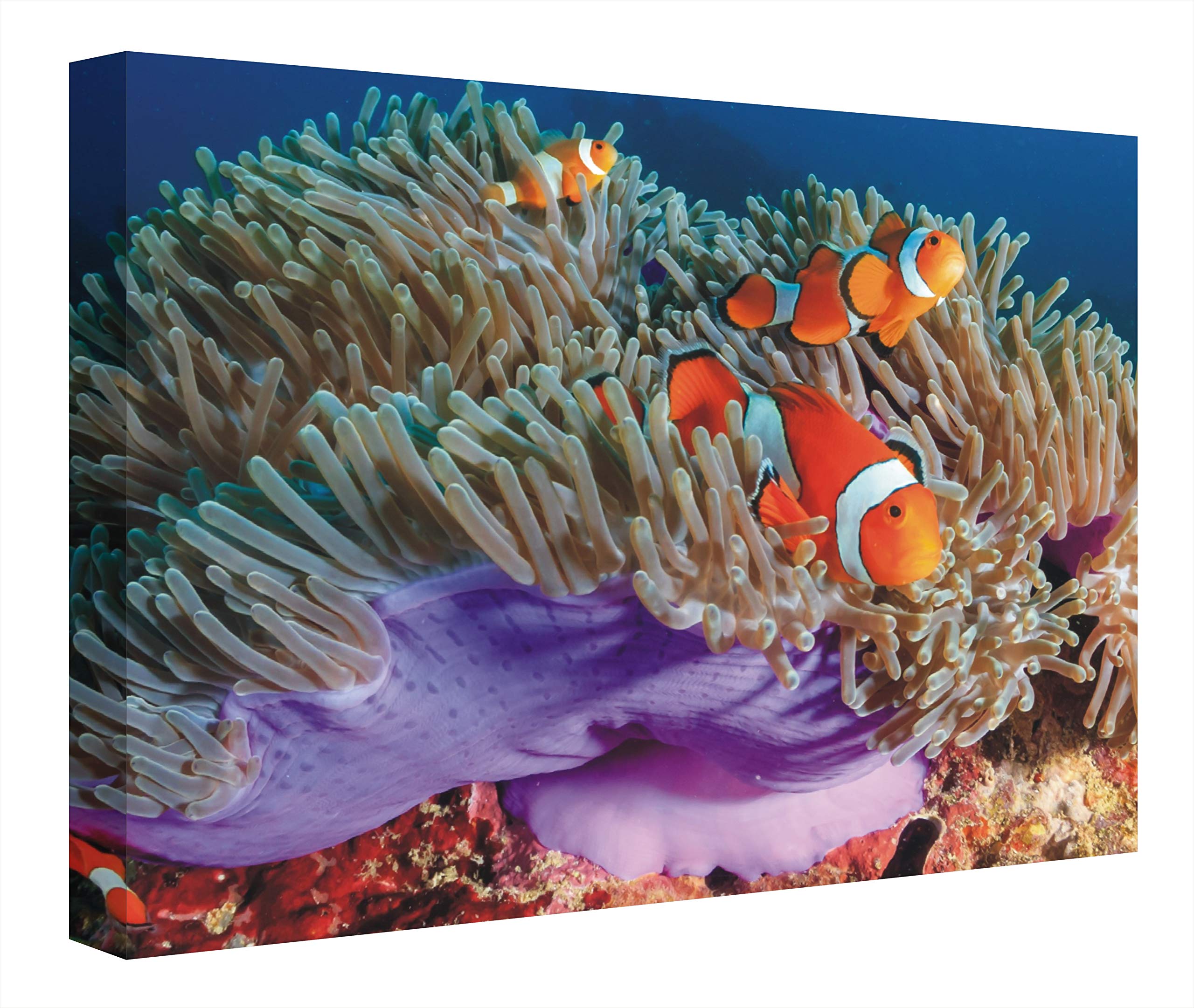 Quadro Retroilluminato Oceano