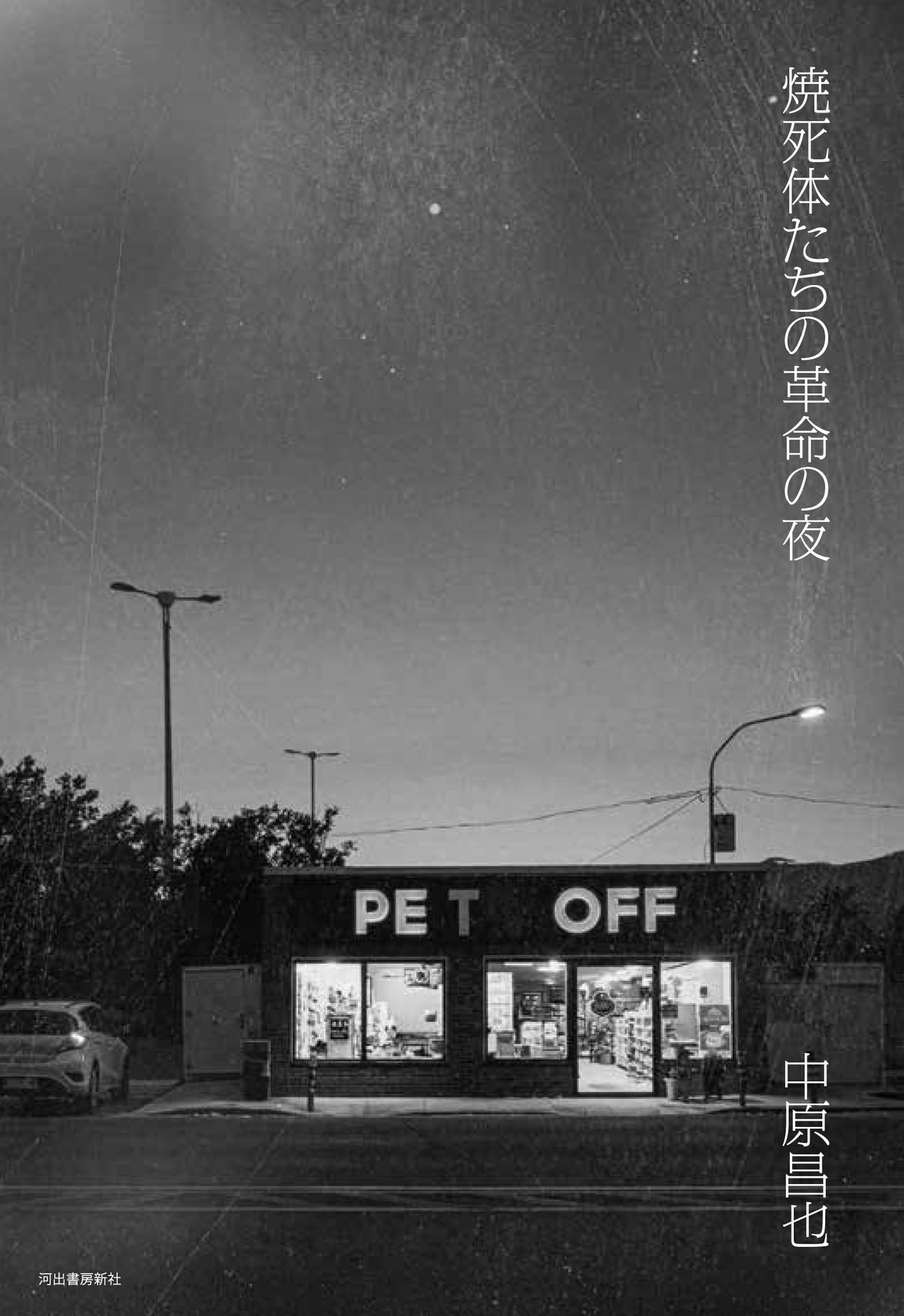 中原昌也 本セット（18冊） 中原昌也 本セット（18冊） 516kwfe+BTL.jpg