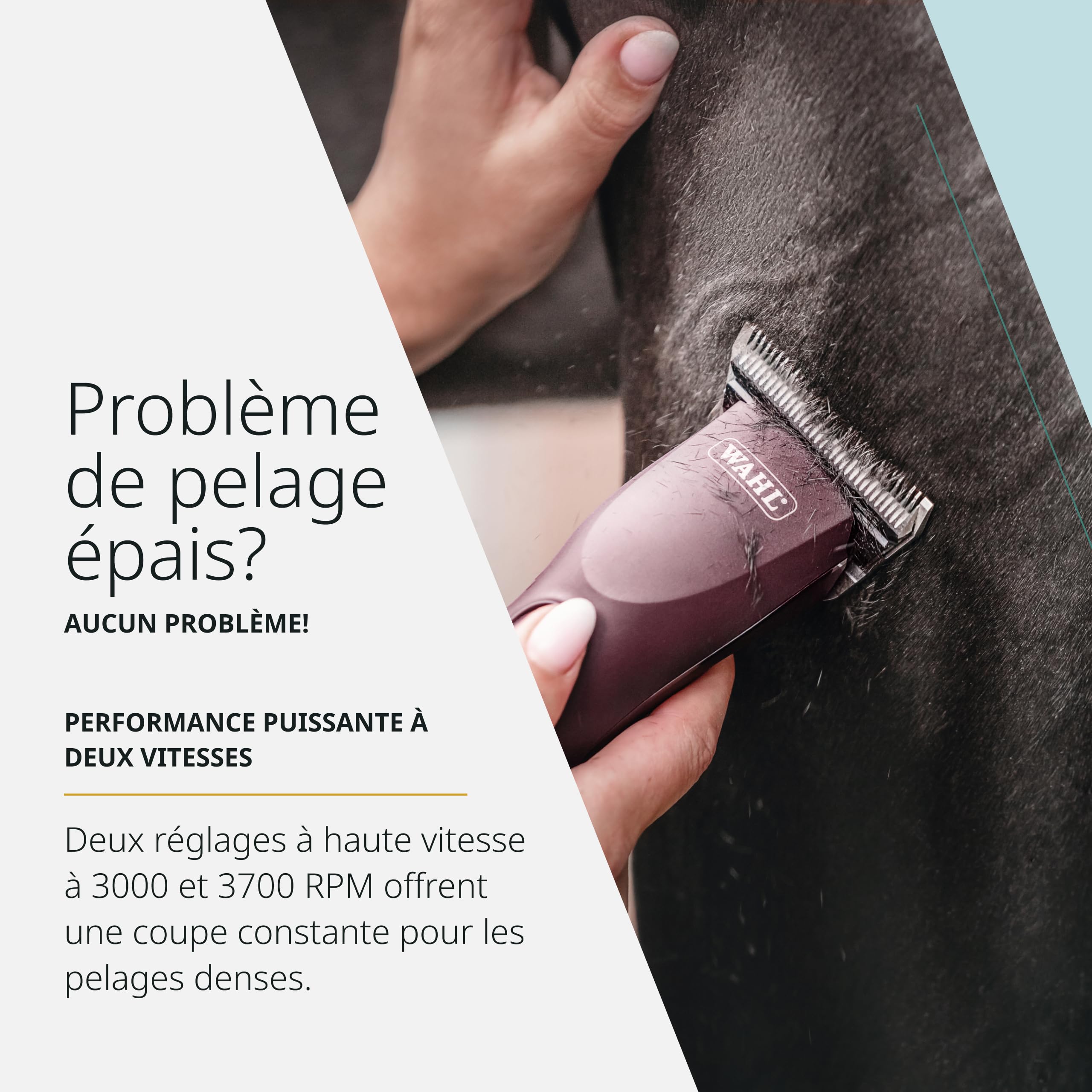 Wahl KM Supera Tondeuse sans fil pour chevaux - Silencieuse, légère et ergonomique - Pour les toiletteurs professionnels et les propriétaires de chevaux