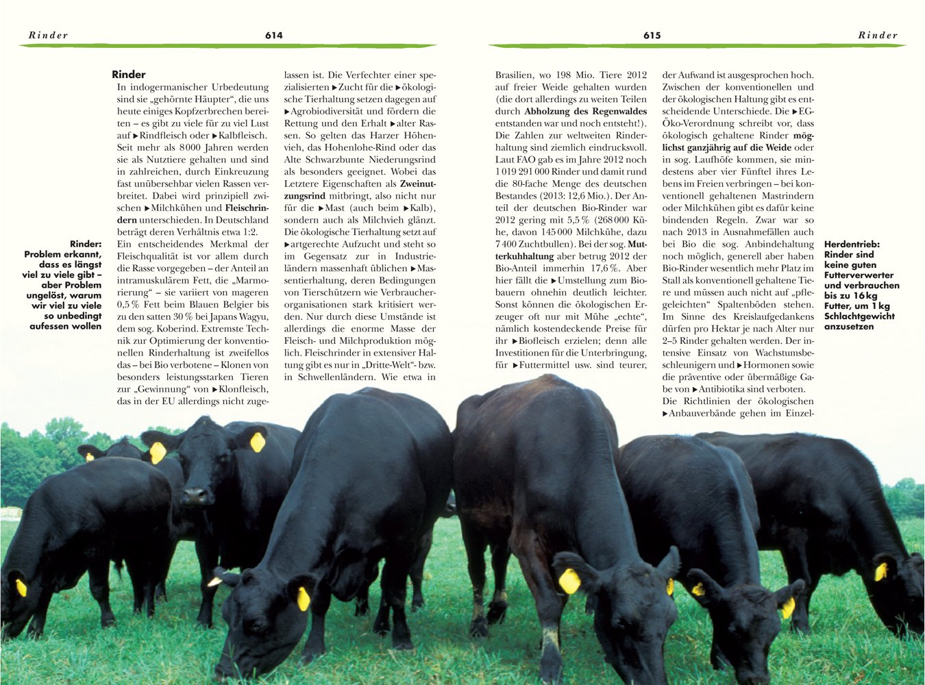 DAS BIO-FOOD HANDBUCH