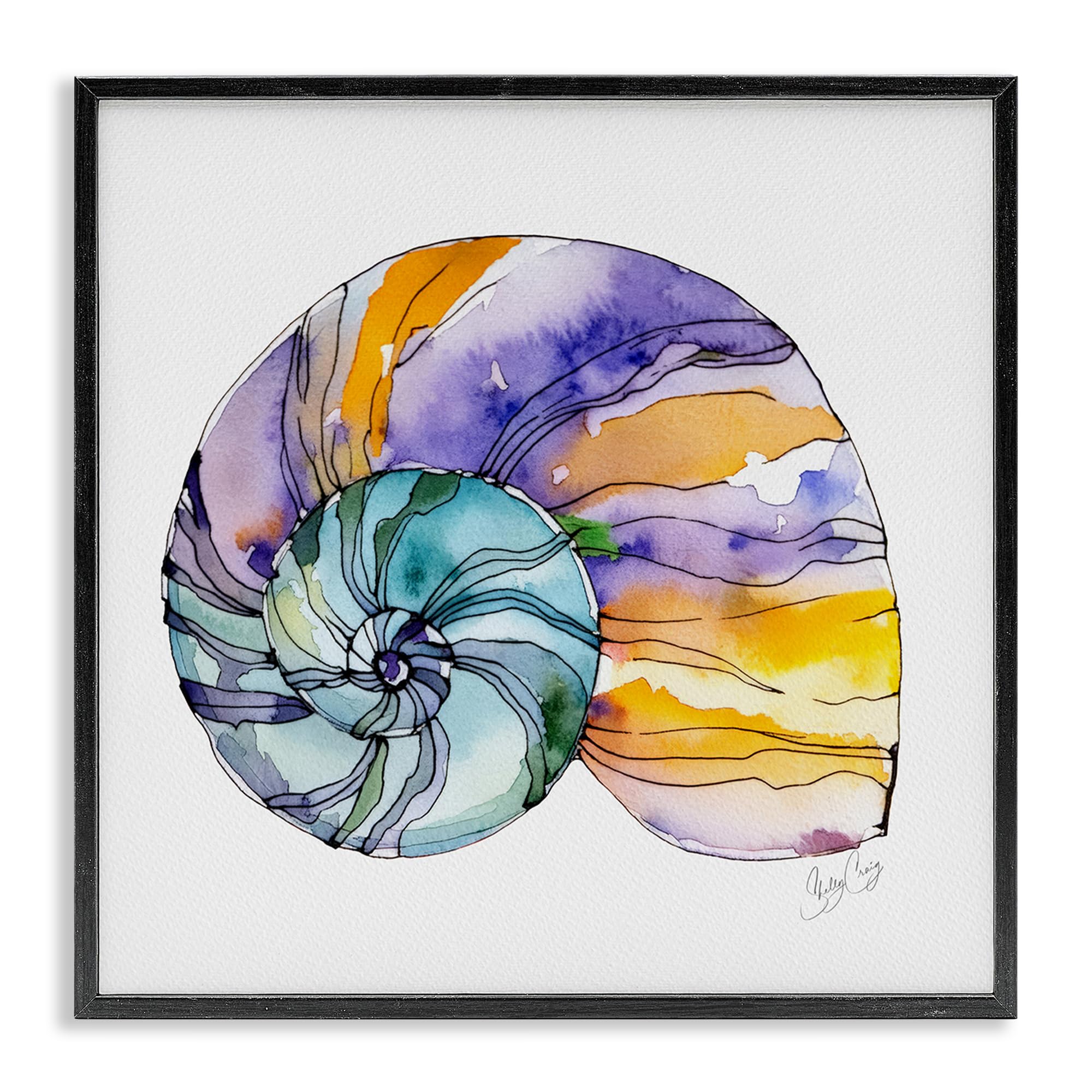 Stupell Industries Midnight Black (Textured) 'Sunlit Striped Nautilus'| Framed Giclee Art