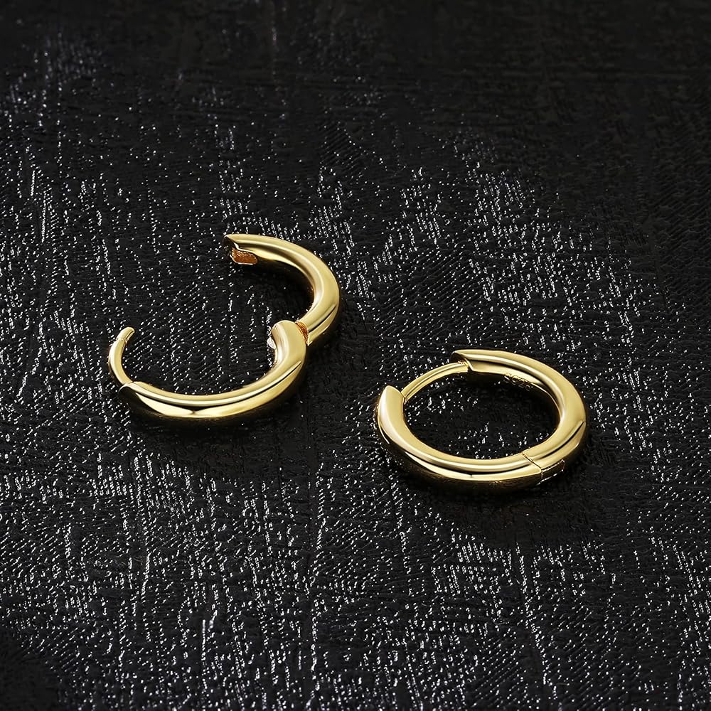 AU人気◆Murkani◆スターデザイン/両耳中折れフープ/シルバー フープピアス 片耳 1個売り サージカルステンレス製 鱗柄 蛇 龍