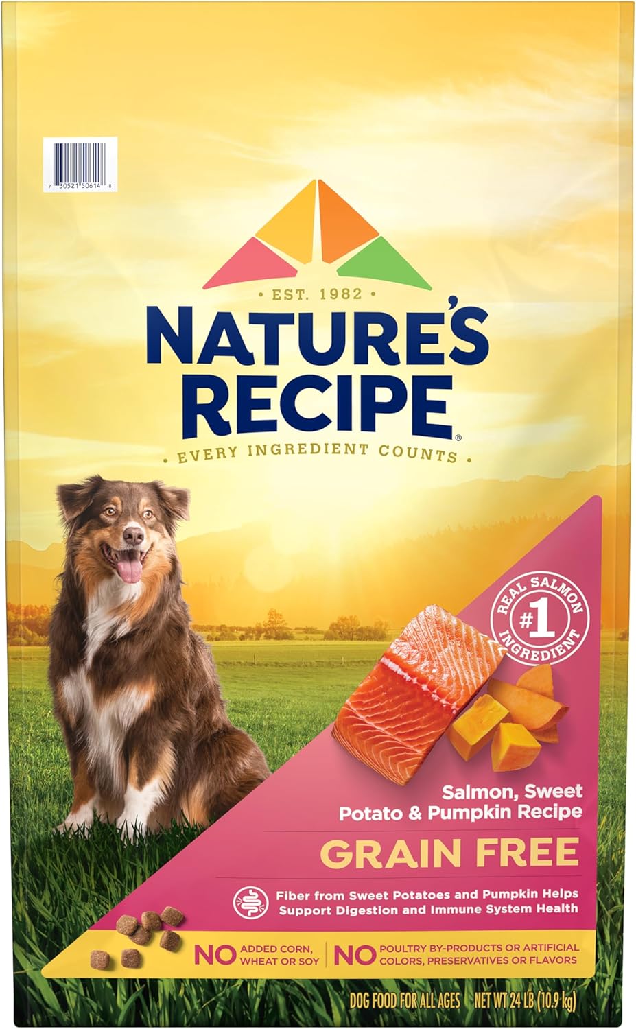 Product image of Nature’s Recipe Grain Free Dry Dog Food Salmon, Sweet Potato & Pumpkin Recipe, 24 lb. Bag