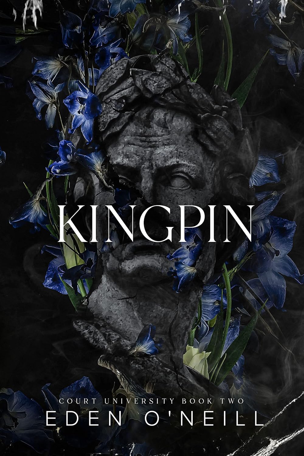 kingpin-an-enemies-to-lovers-college-romance-court-university-book-2