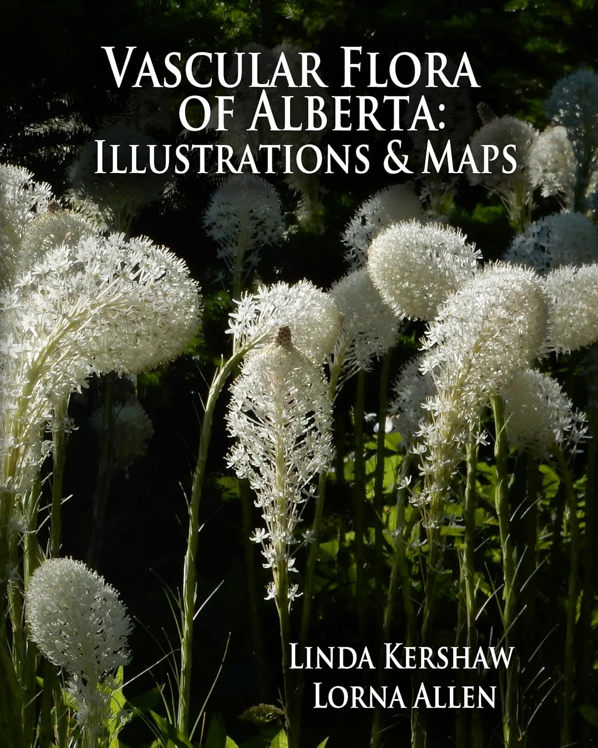 Vascular Flora of Alberta: Illustrations and Maps