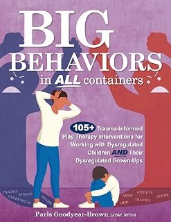 Big Behaviors Containers Trauma Informed Interventions