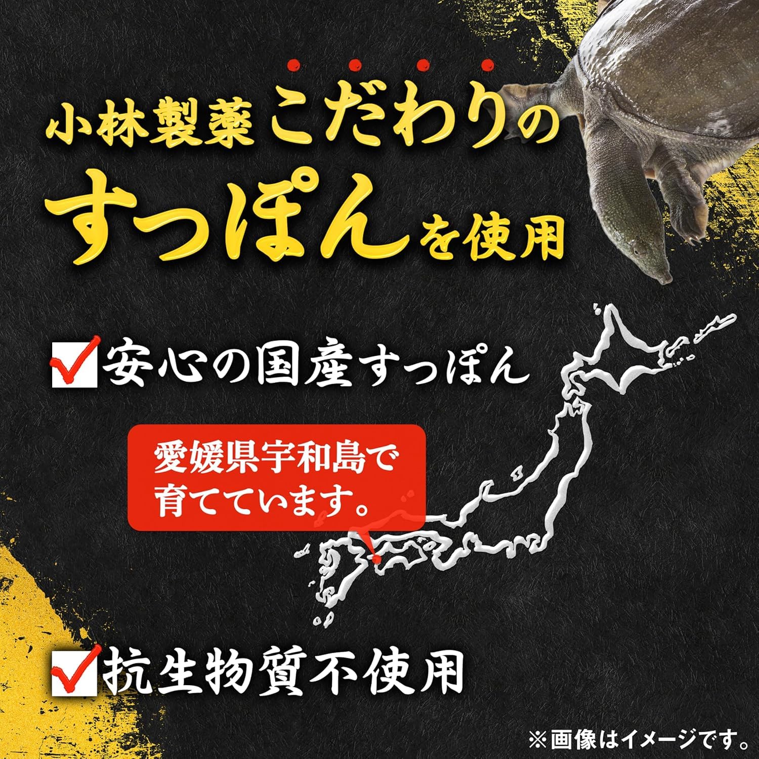Amazon | 小林製薬の栄養補助食品 [ 公式 ] すっぽん 高麗人参 サプリ