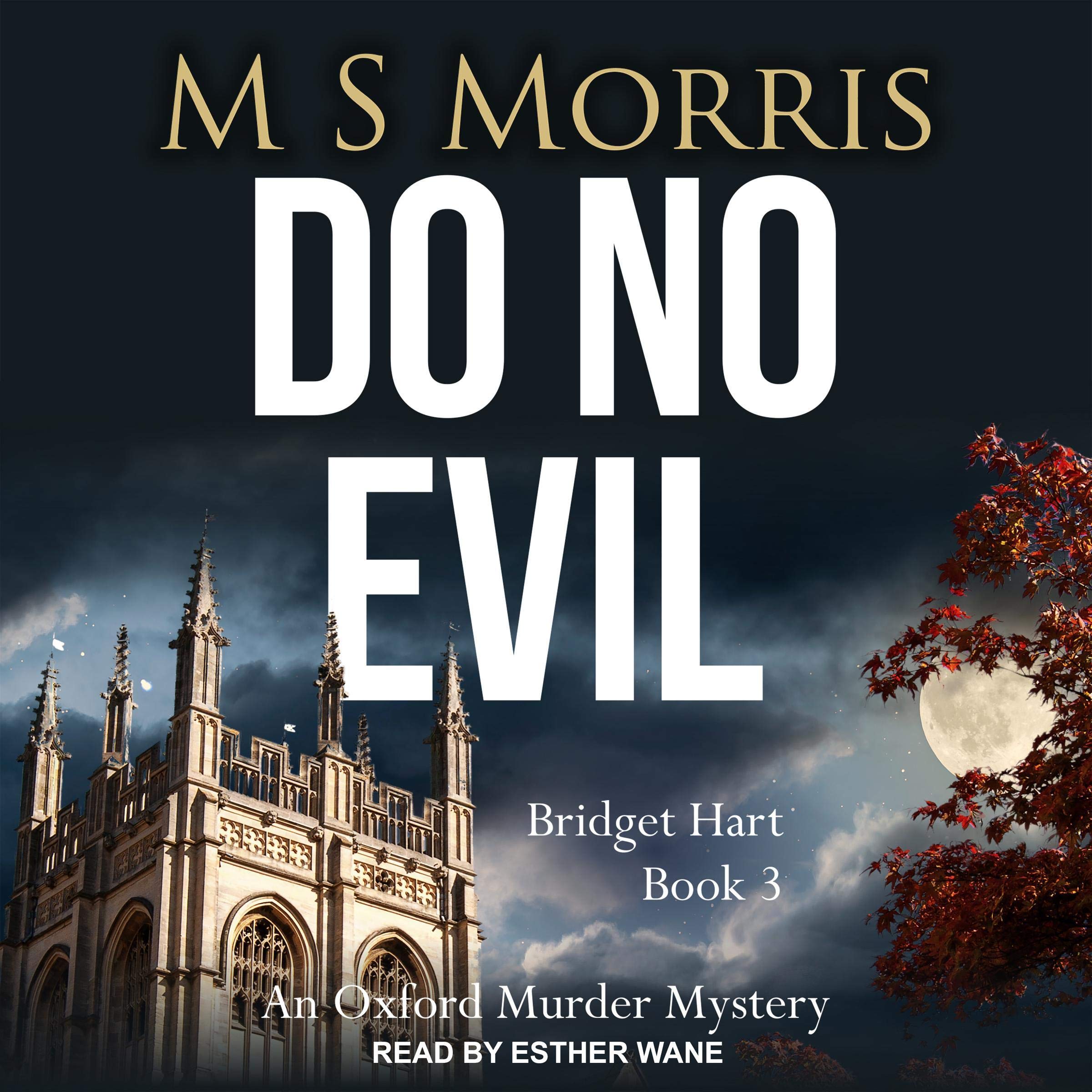 Cover art for Do No Evil
