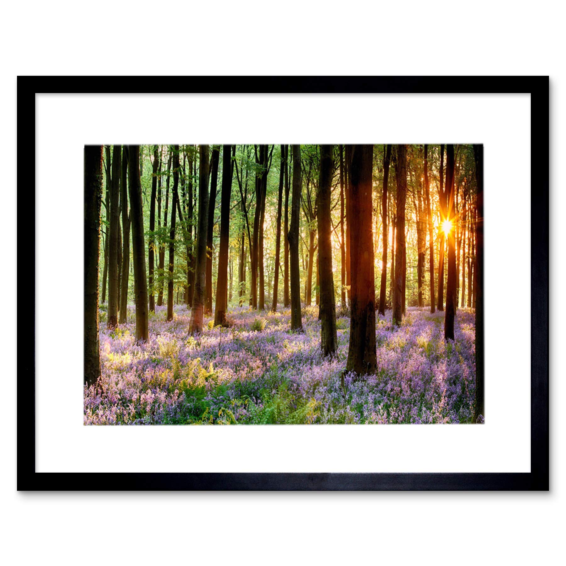 Wee Blue Coo Bluebell Wood Sunrise Trees Photo Framed Wall Art Print