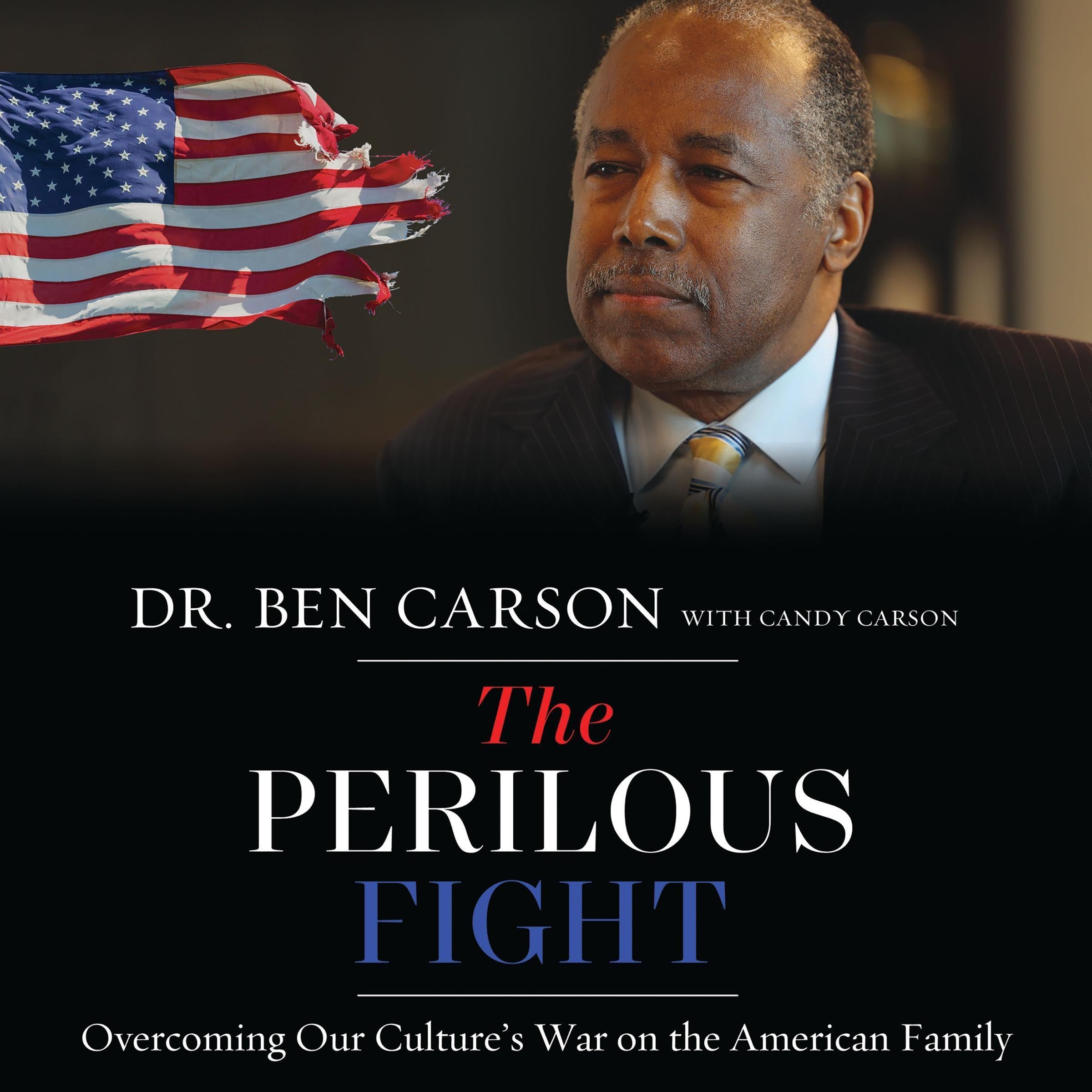 Cover art for The Perilous Fight