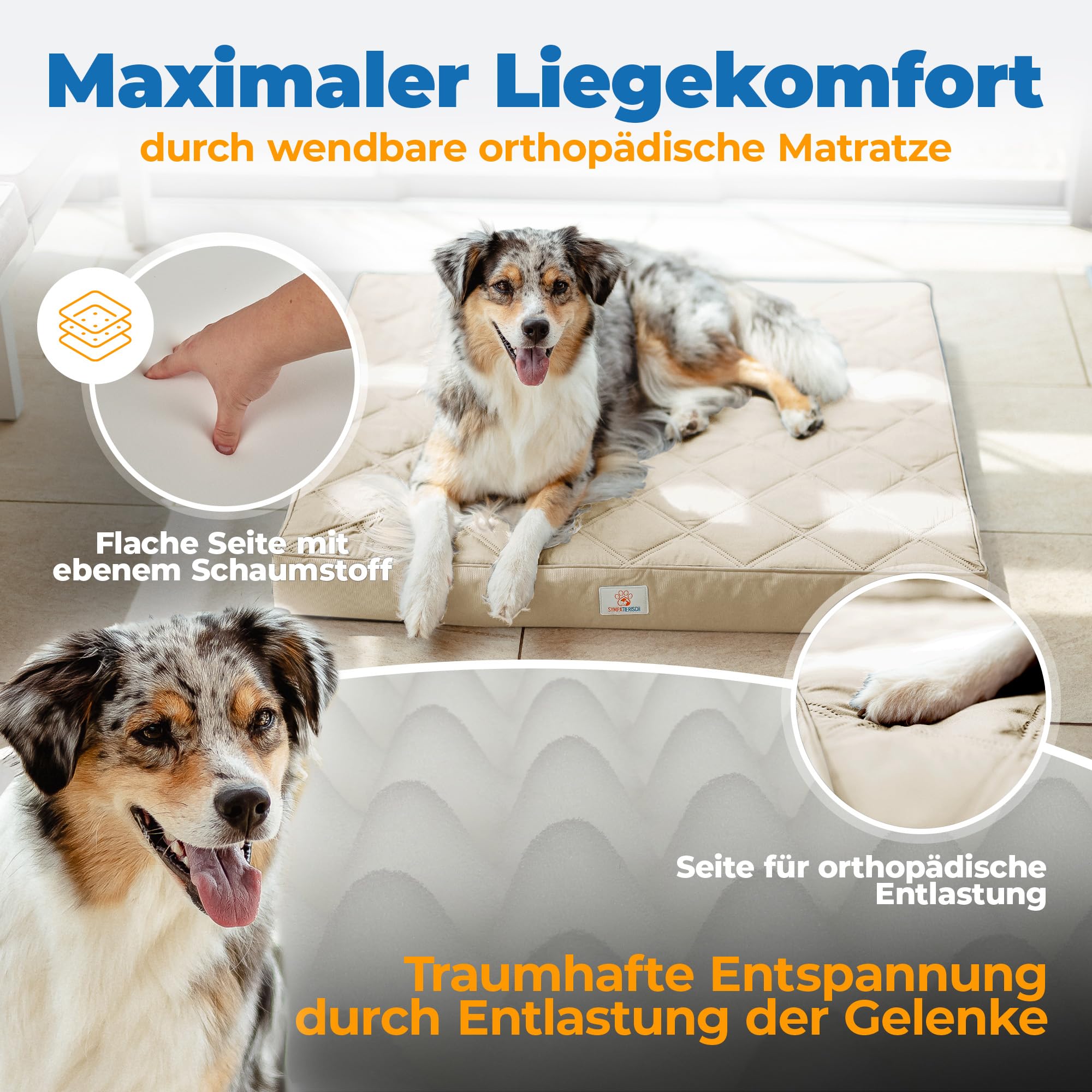 Cuccia ortopedica impermeabile – Il nuovo tappetino per cani preferito del tuo naso in pelliccia, cuscino antiscivolo, cestino per cani, fodera lavabile, per cani di piccola e grande, 90 x 80 x 8 cm