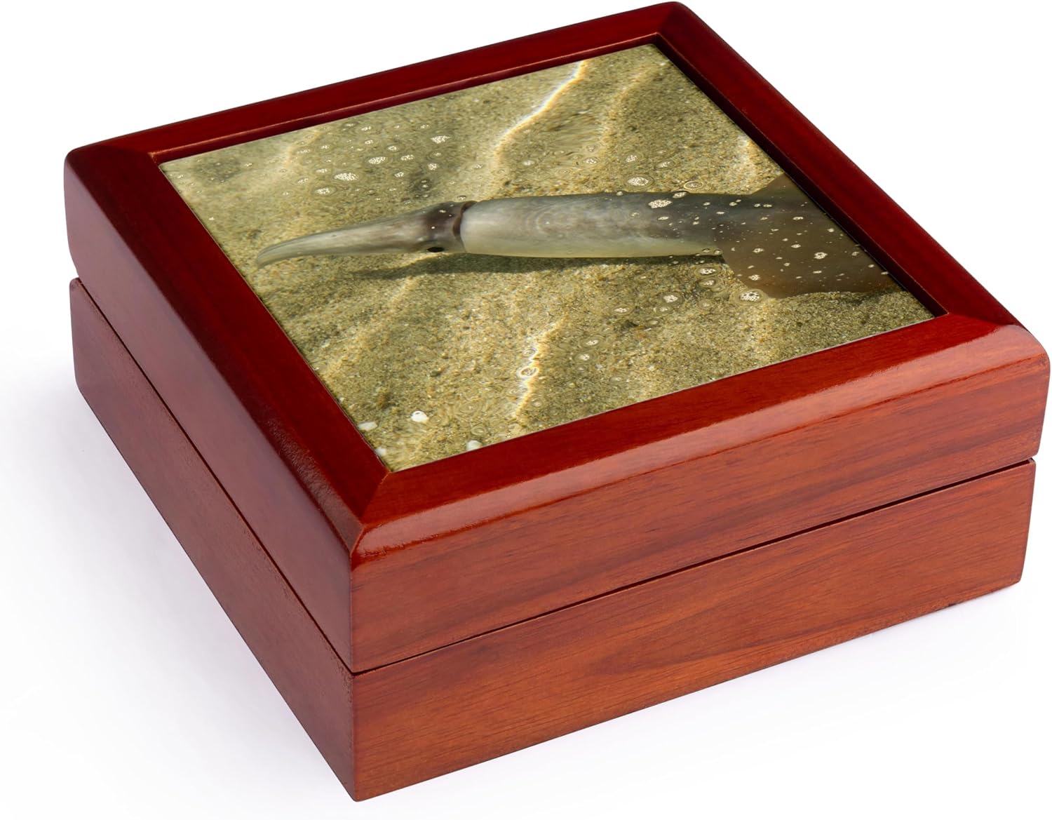 3dRose Mexico Bahia de Los Animas Jewelry Box 7 x 7 inch with 4 inch tile