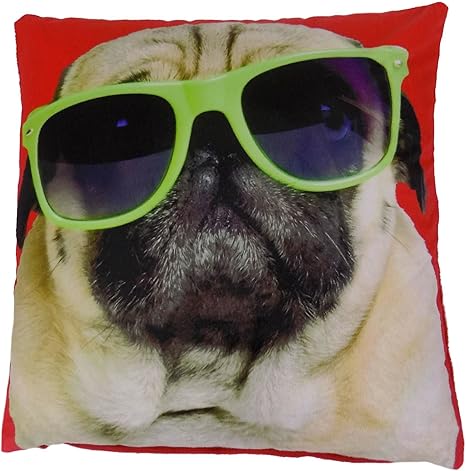 Amazon Co Jp クッション一意でfilledパグ犬メガネレッドグリーンベルベット厚いクッション17 43 Cm ホーム キッチン Amazon Co Jp クッション一意でfilledパグ犬メガネレッドグリーンベルベット厚いクッション17 43 Cm ホーム キッチン