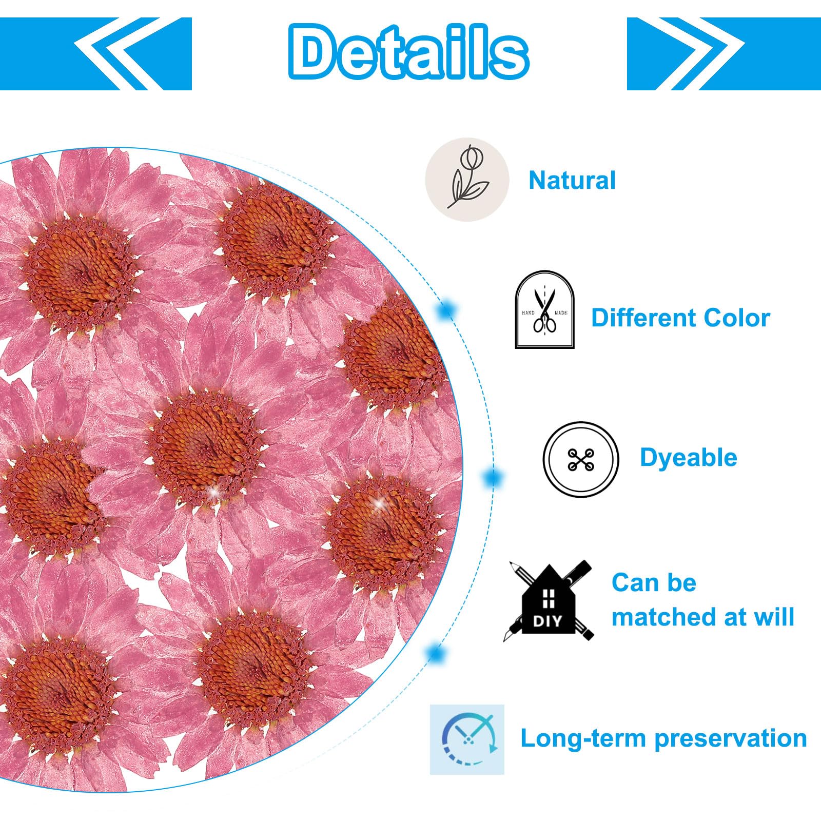 PATIKIL 48 Pcs Dried Pressed Flower Natural Dried Daisy Flower for DIY Art Crafts House Decoration Nails Decoration,Cherry Blossom Pink - Image 3