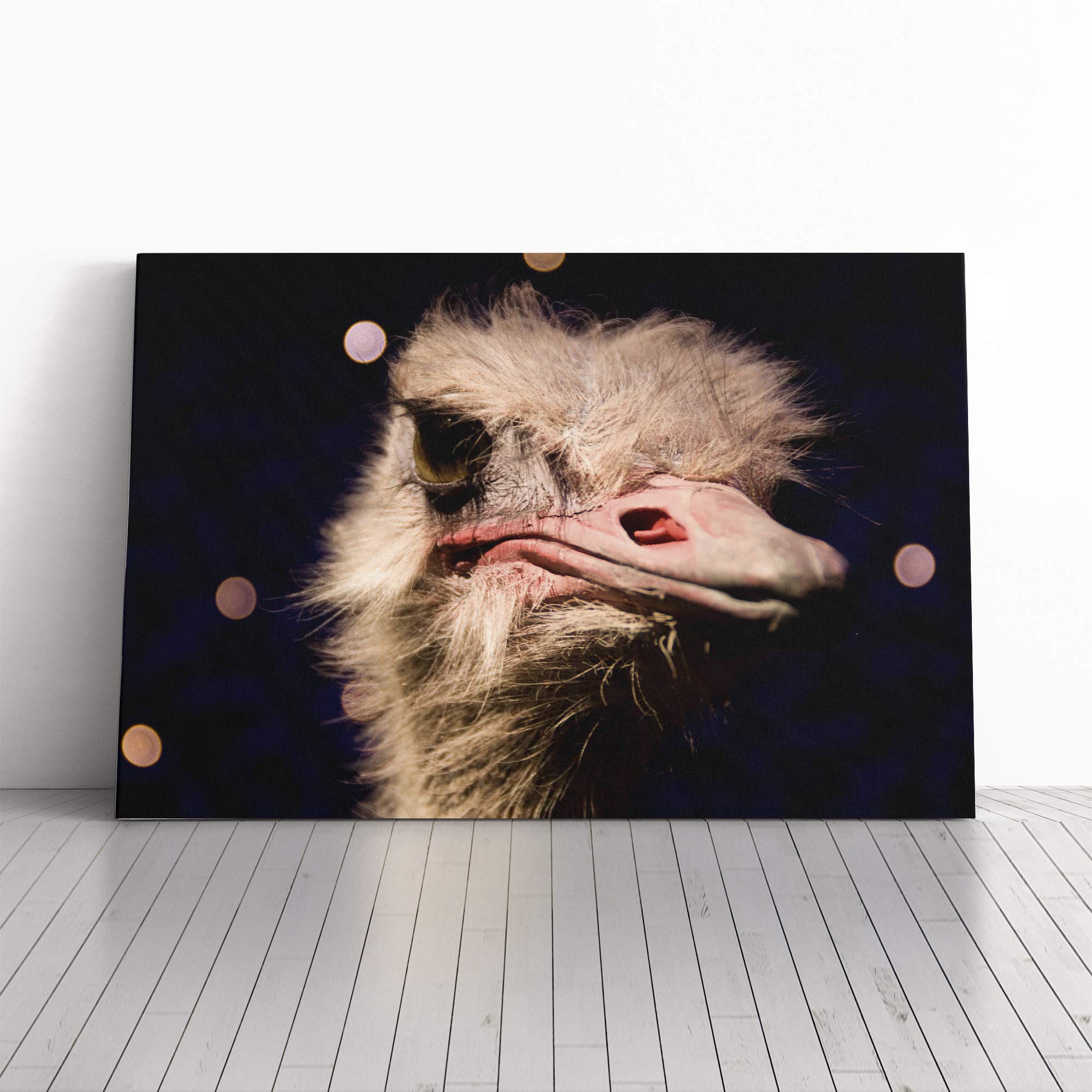 an Ostrich Canvas Print | Gallery Wrapped 30mm Frame Wall Art | 30x20 inches | Ready to Hang | Contemporary Picture | Living Room Bedroom Lounge Office