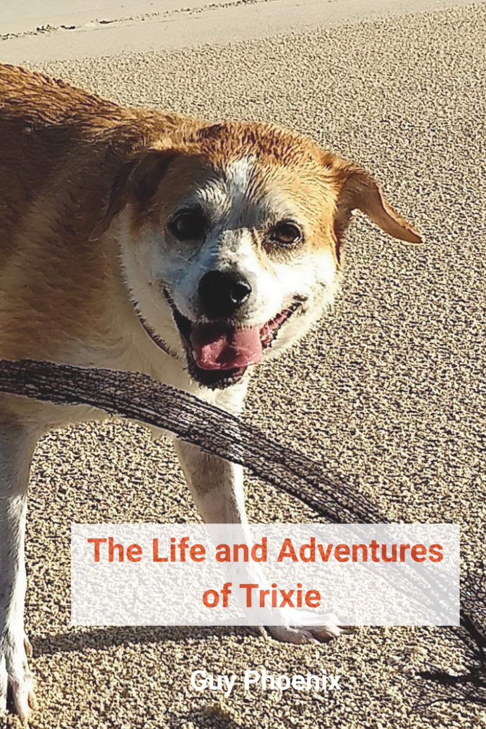 The Life and Adventures of Trixie: The life and adventures of my wonderful dog