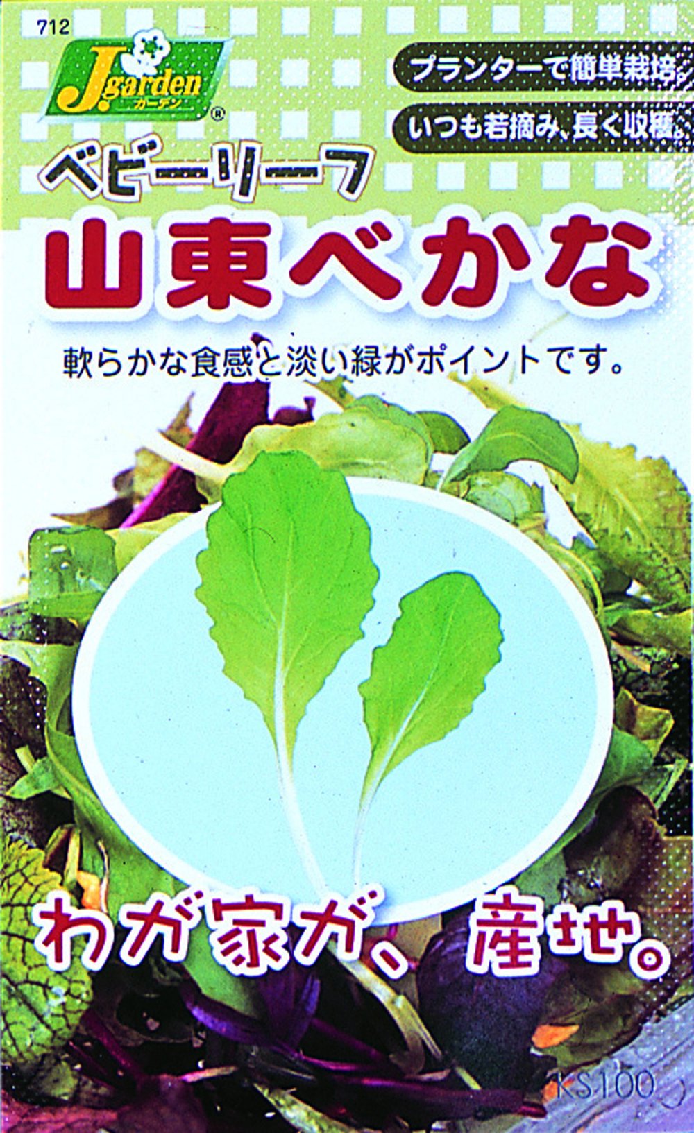 Amazon.co.jp: カネコ種苗 ベビーリーフタネ712 山東べかな 10袋