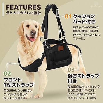 獣犬の下顎手のひらサイズ imgrc0106982961.jpg