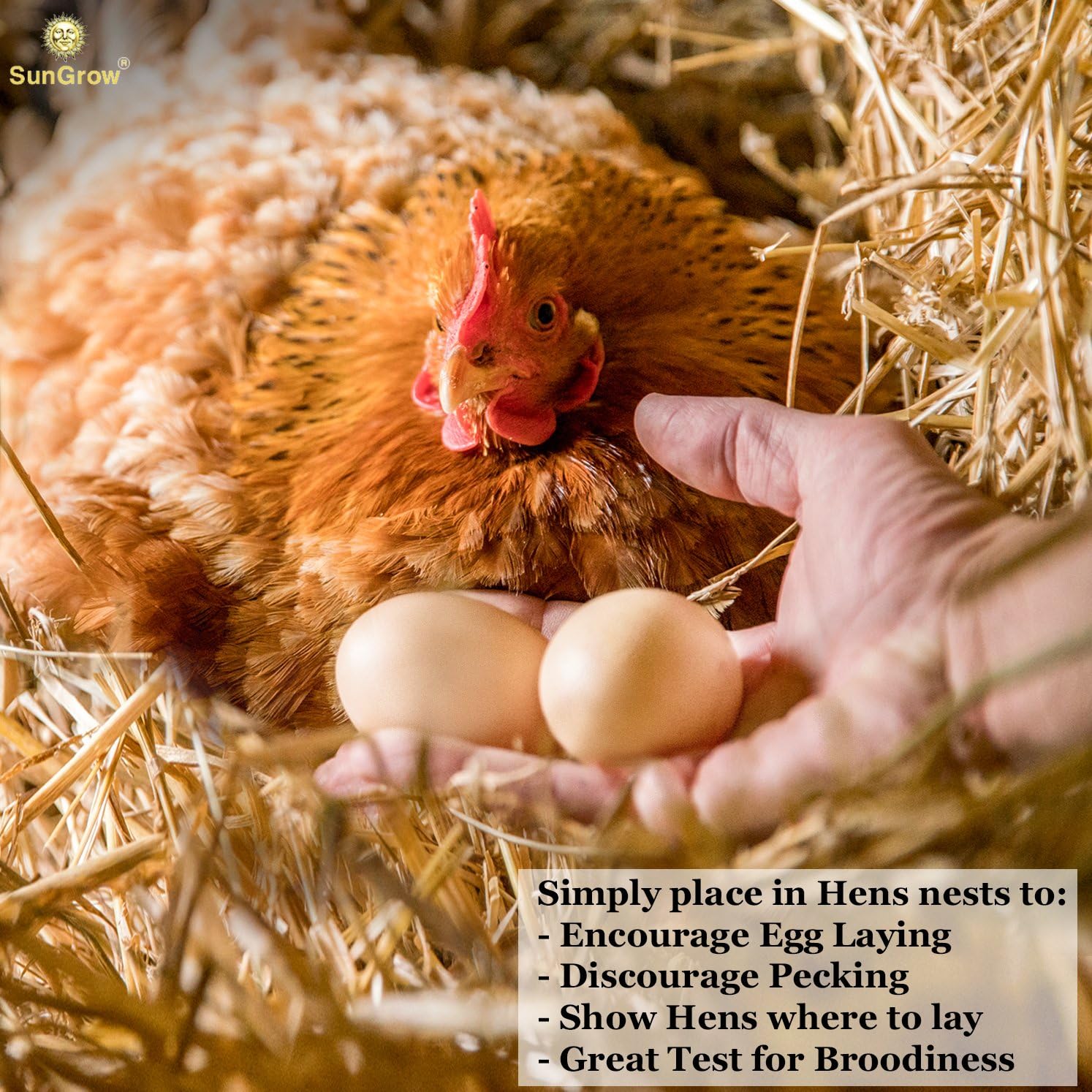 Surprising Showdown: SunGrow Fake Eggs vs. Training Tools for Nest Protection