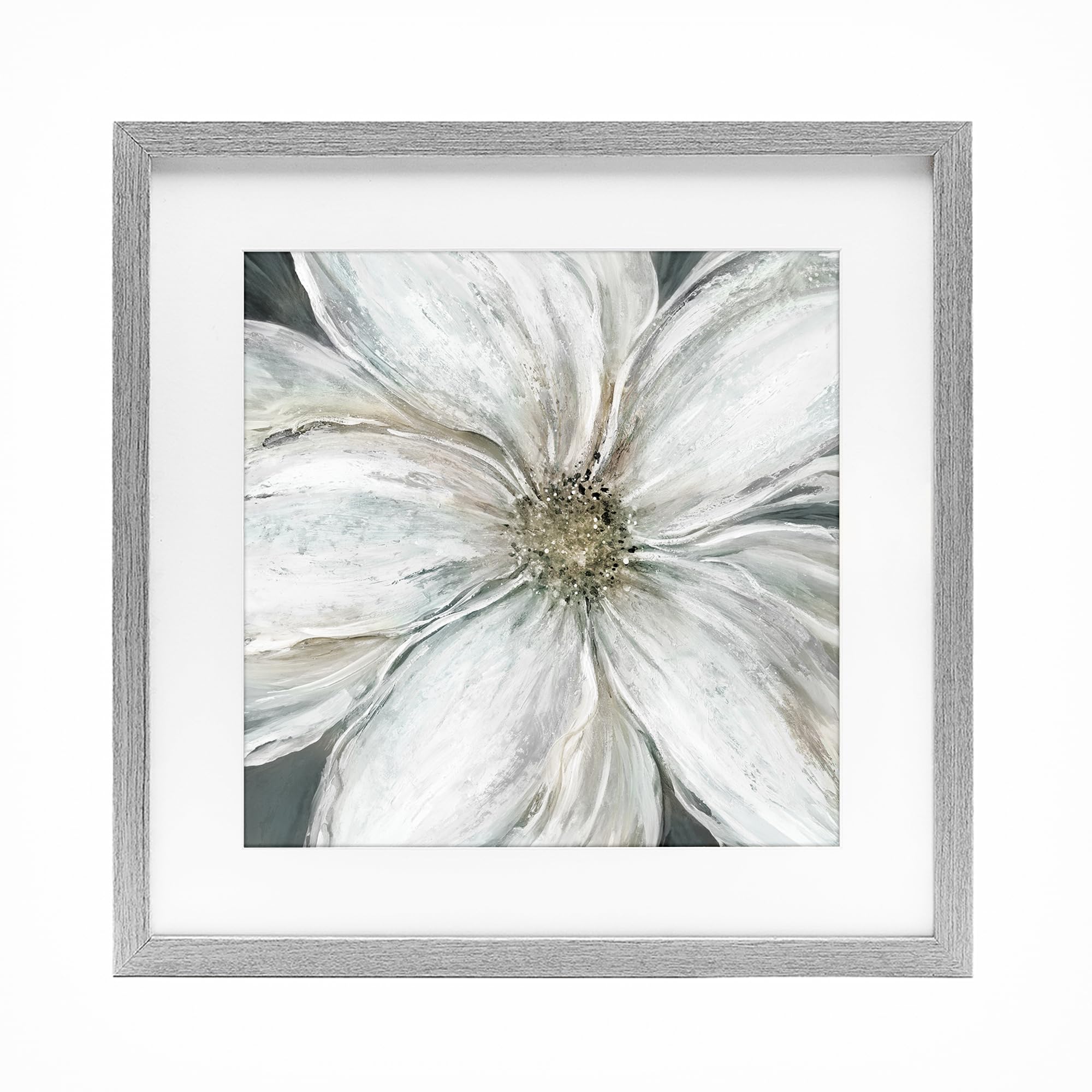 Stupell Industries Serene White Blossom Closeup 'Closeup Serene White Blossom', Framed Print Under Glass, Gray, 16 X 16 Inches, Easy To Hang And Sturdy, Made In Usa, By Carol Robinson