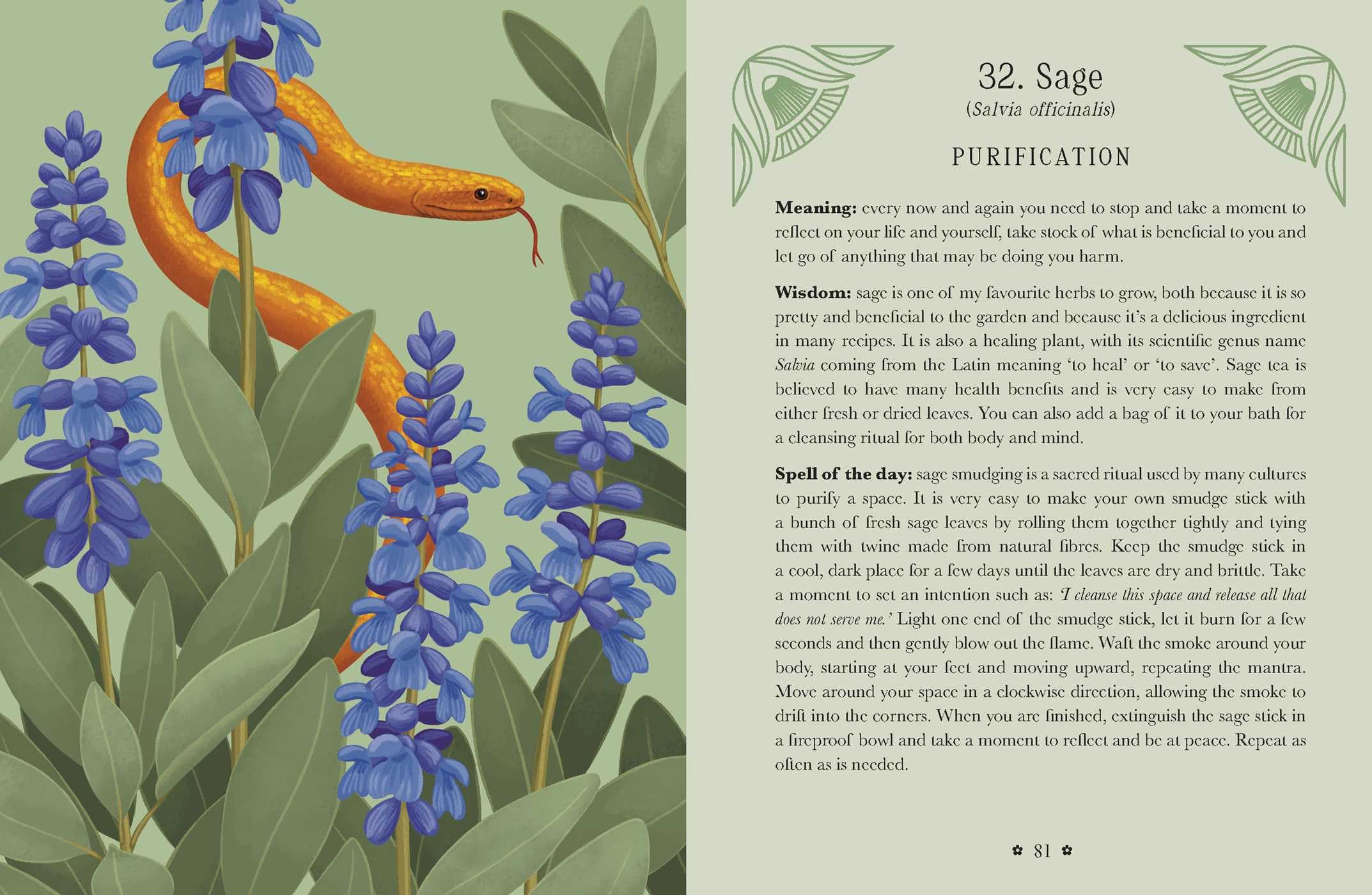 Kate Forsyth's Hedgewitch Oracle