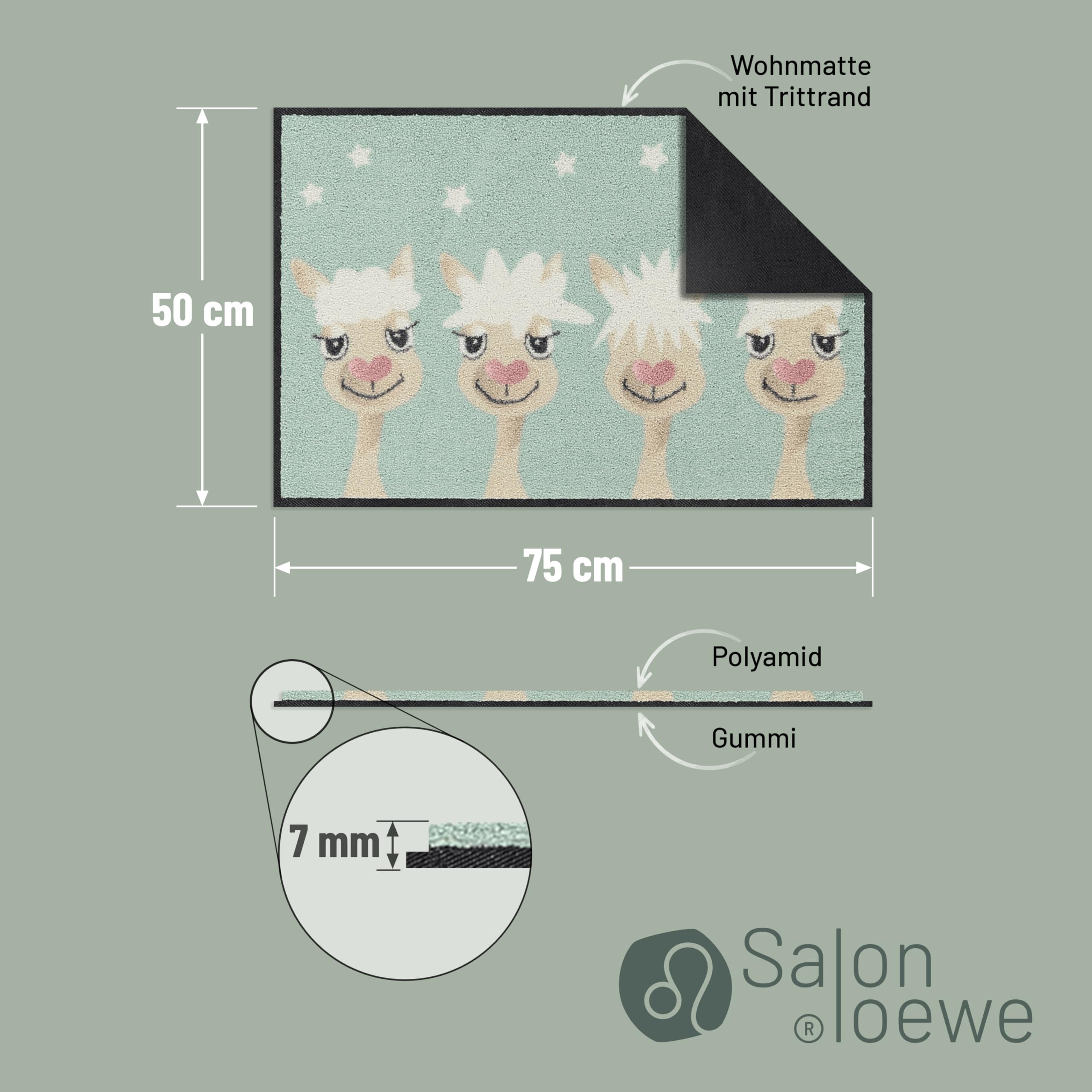 Salonloewe Fussmatte Perfect Hair Day I Schmutzfangmatte & Fußabtreter für Innen 50 x 75 cm