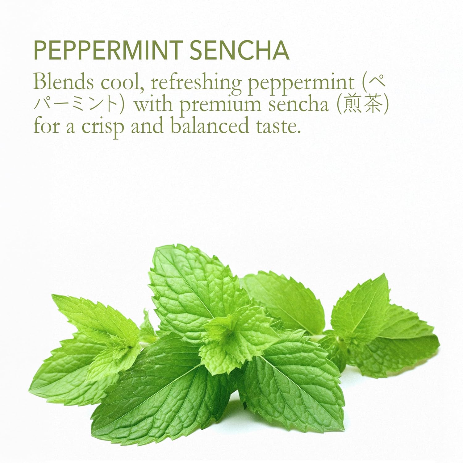 Tokyo Peppermint Powdered Japanese Green Tea | Premium Sencha with Natural Peppermint | Lightly Sweetened | Hot or Iced | Vegan, Gluten-Free, Single Origin | 3.5oz (100g) Resealable Bag
