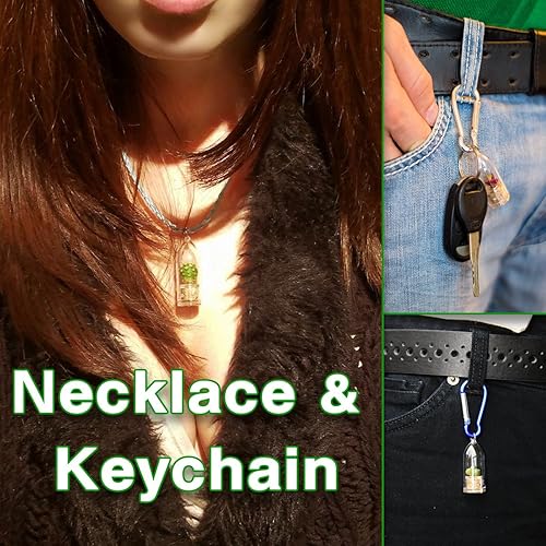 Miniatura 4 de Pearls Live - Collar de plantas de terrario suculento con collar tejido azul de 17 pulgadas