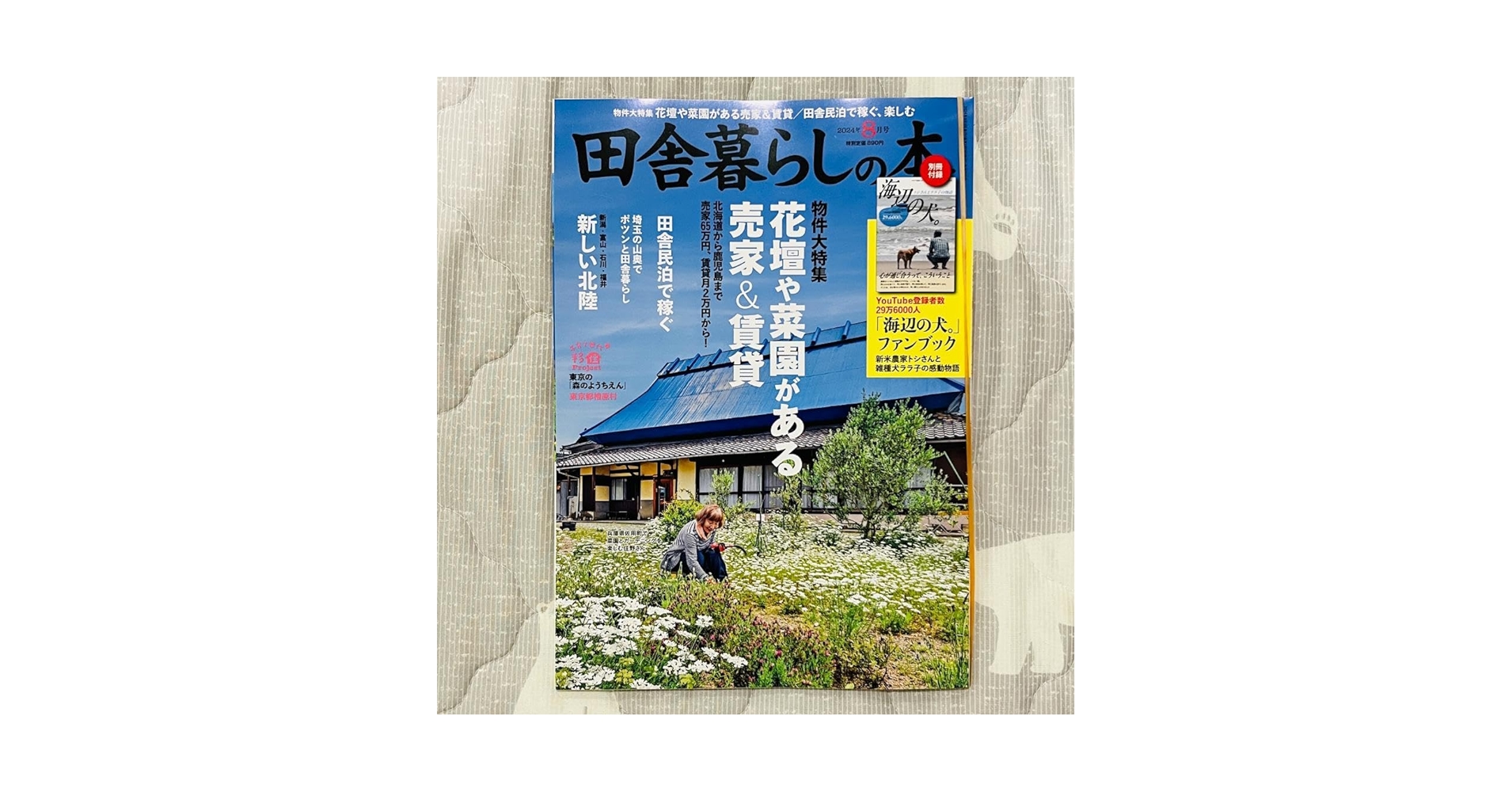海辺の犬。トシさんとララ子の物語 海辺の犬。 : トシさんとララの物語 (TJ MOOK) | NDLサーチ