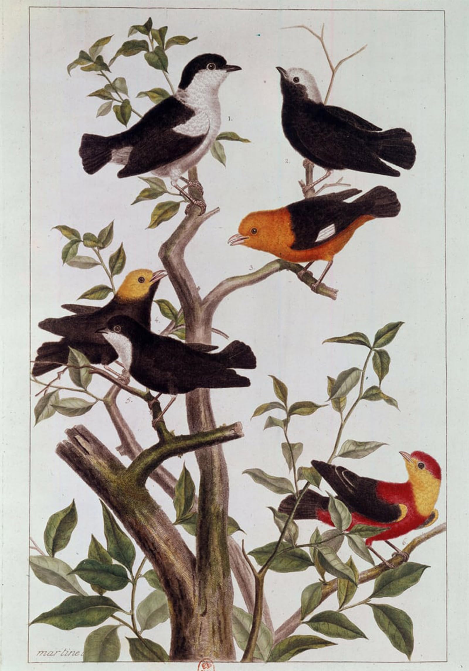 Toile Arts Oiseaux Branches Pierre Buchoz Salon Déco - 5