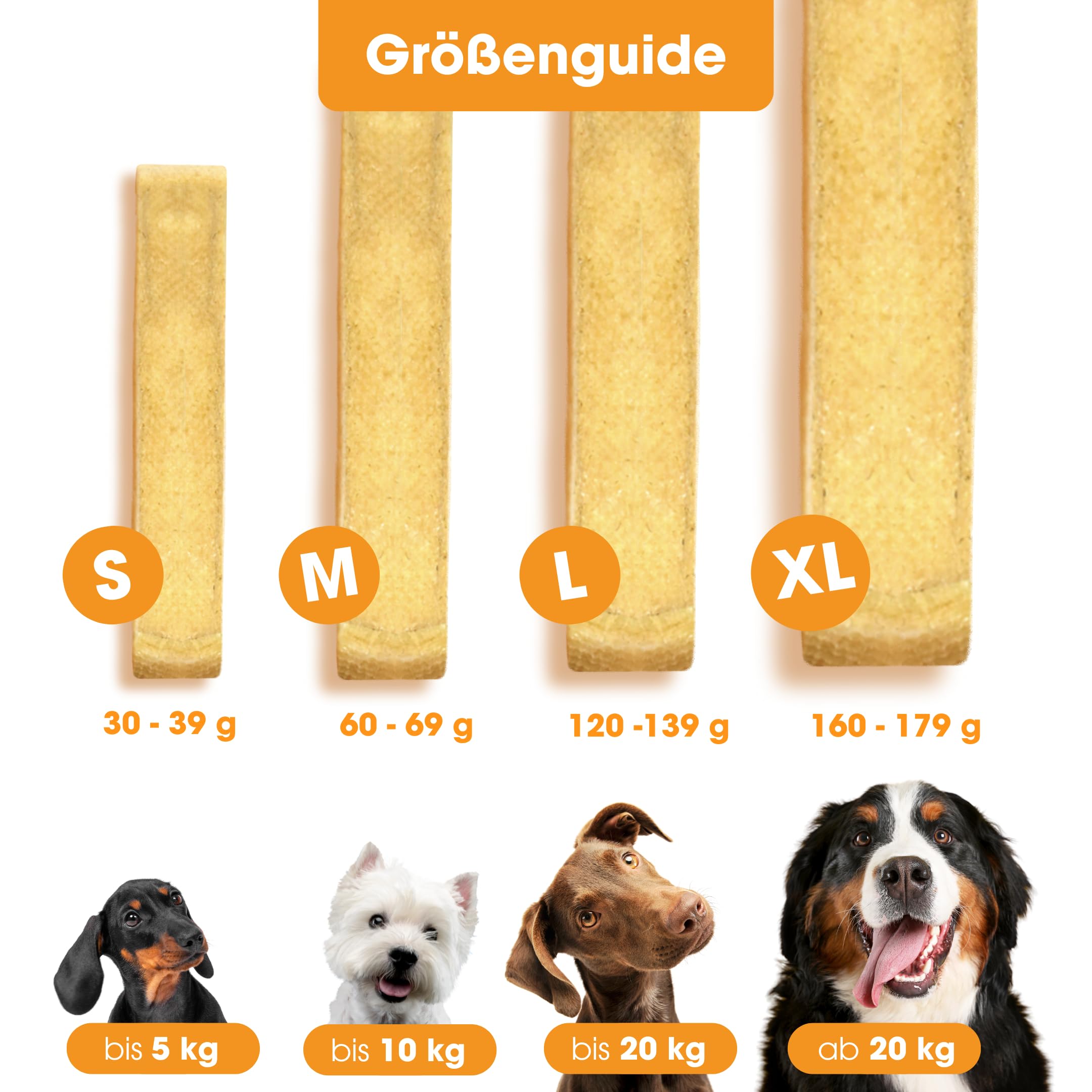 Knabber Kaustange Käse – 5 x L Kauknochen Hund bis 22,7 kg aus 100% getrocknetem Hartkäse, Zahnreinigende Kaustange Hund für Stressabbau & Beschäftigung – ohne künstliche Zusatzstoffe