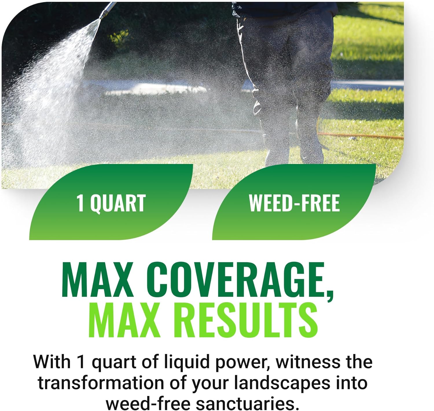 Sublime Weed Killer, Unrivaled Defense Against Crabgrass, Creeping Charlie, Dandelions & More, Non-Bleaching, Fast-Acting, Commercial & Residential, 1 Quart