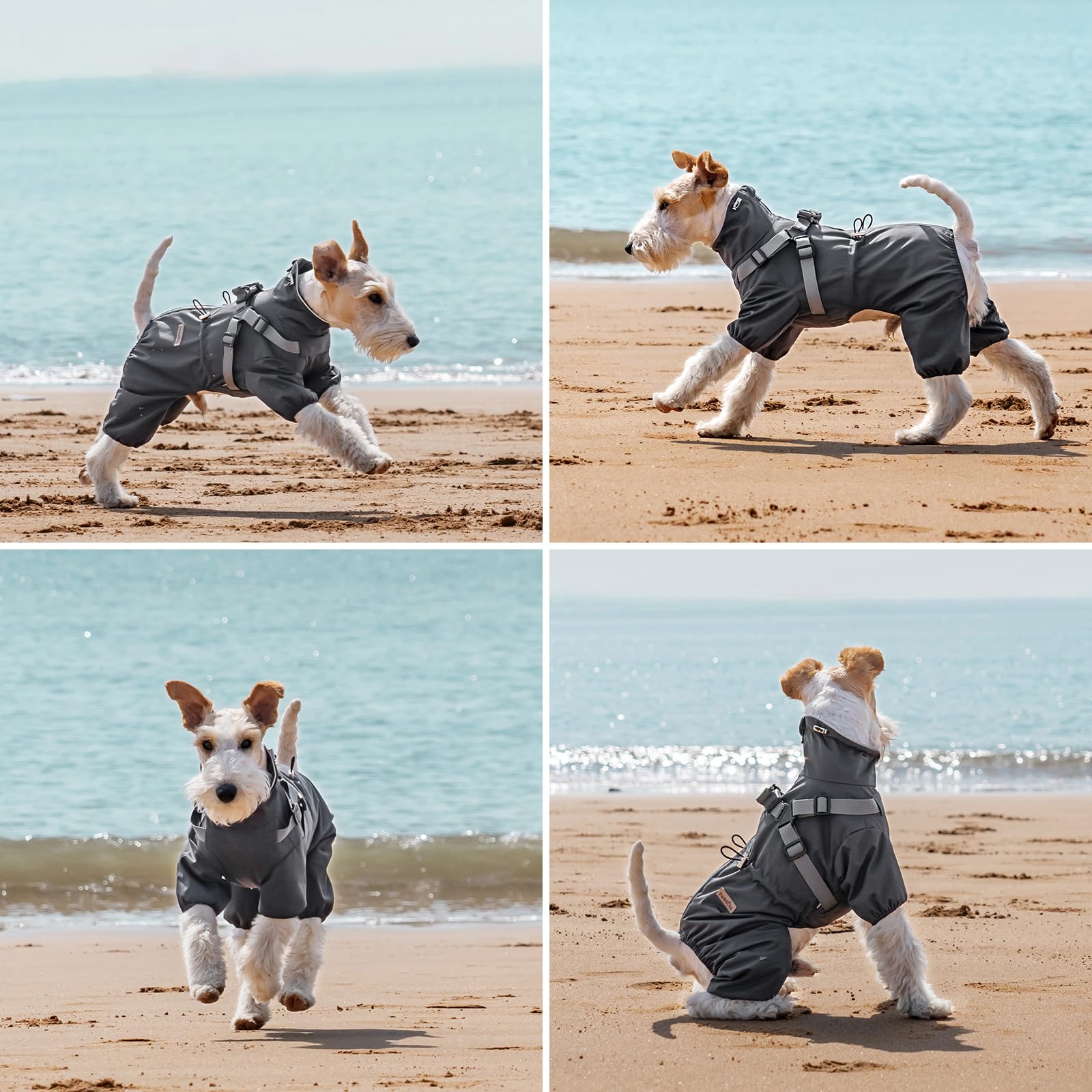 PAWBOSE Imperméables pour Chiens avec Harnais pour Chiens de Petite et Moyenne Taille, Veste de Pluie pour Chien Réglable, Manteau Pluie Chien Réfléchissant, 4 Jambes, Gris, M