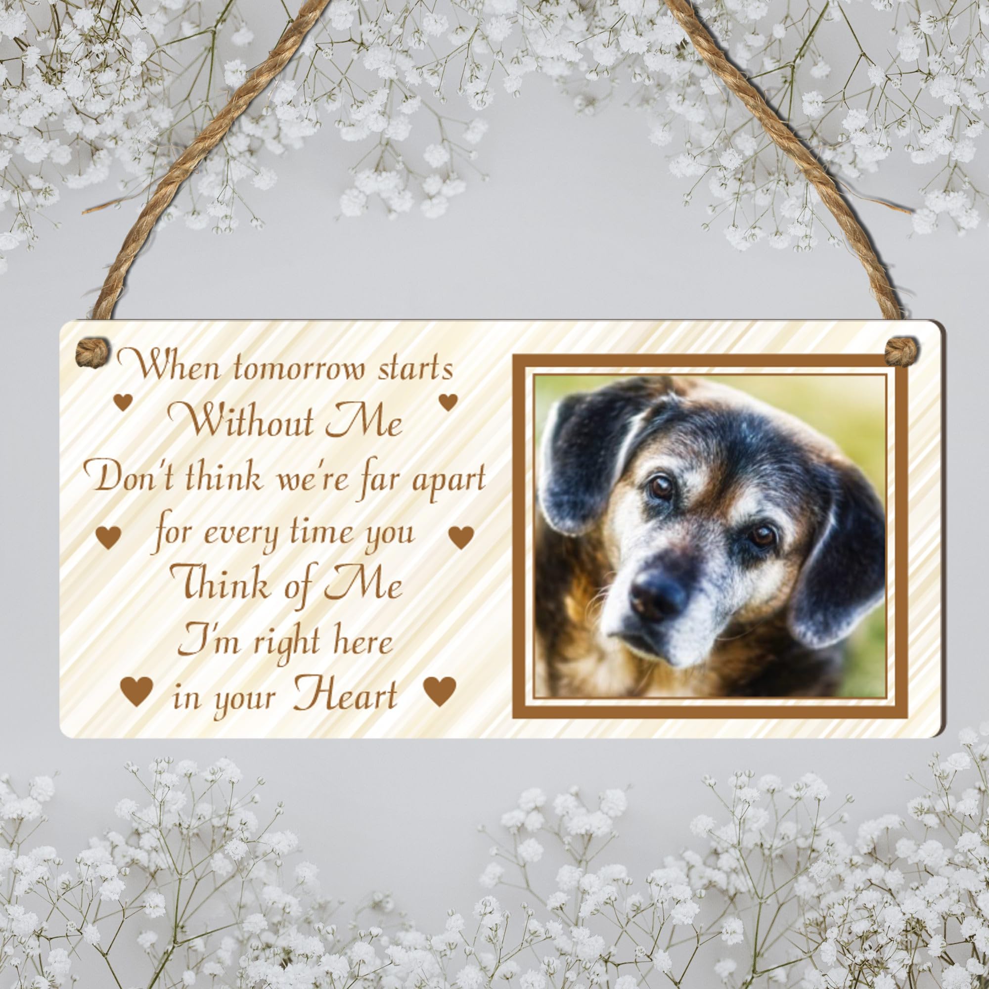 View 4