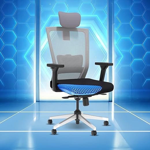 The Sleep Company Stylux Premium Ergonomic Office Chair | Patented SmartGRID Technology | SpinePro Adjustable Lumbar Support for Desk Chair | Chair…