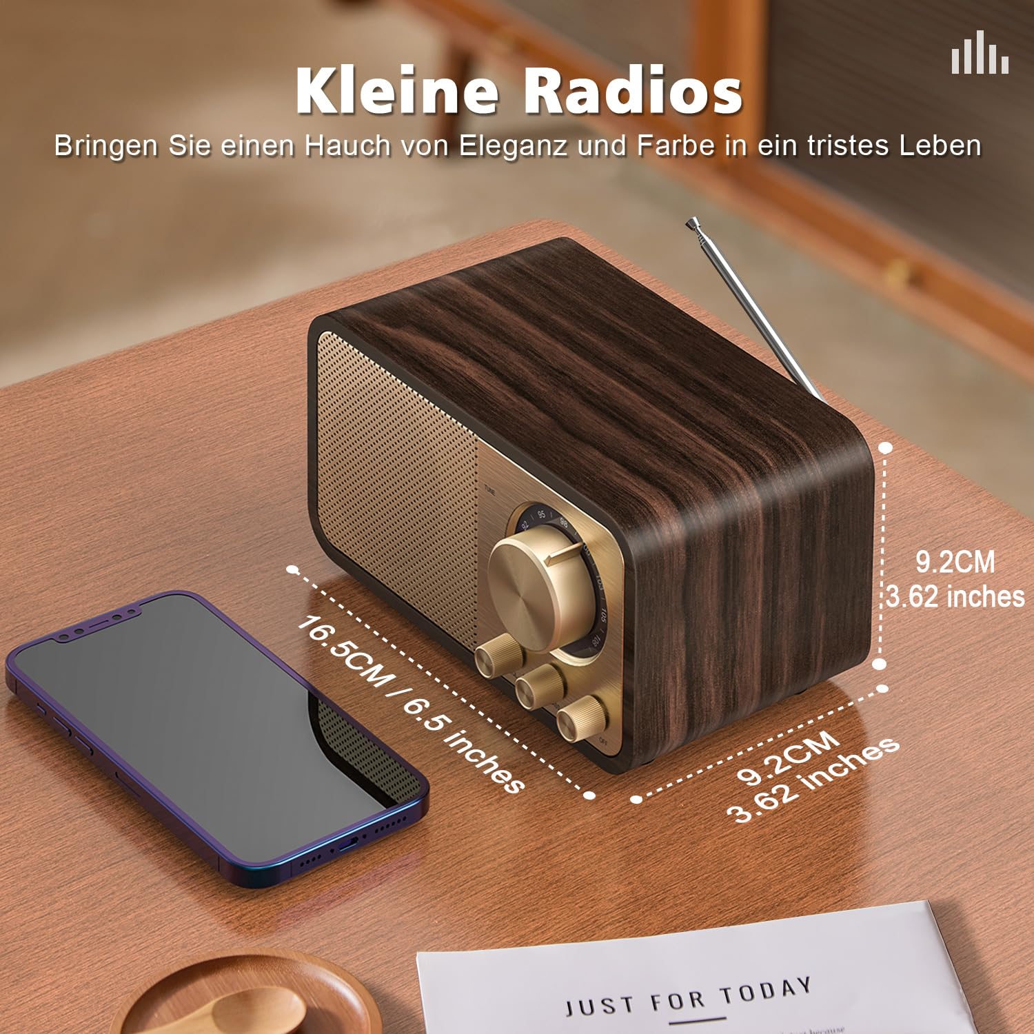 Nostalgie Radio, Retro Radios mit Bluetooth, TF Karten Slot, 2000mAH Wiederaufladbare Batterie, 5 Watt Lautsprecher, Vintage Radios mit AUX/USB, Radio für Küche/Schlafzimmer/Büro
