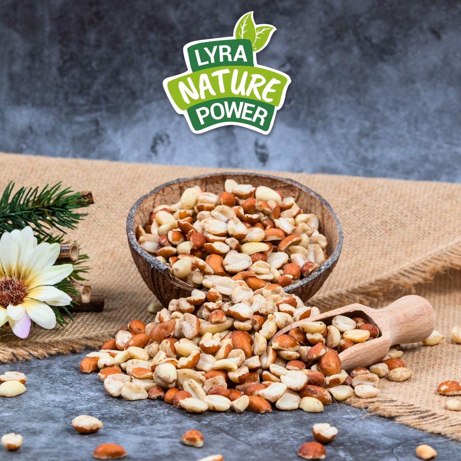 Graines de cacahuètes Splits mélangées blanchies & avec Peau 25 kg Nourriture pour Oiseaux Sauvages