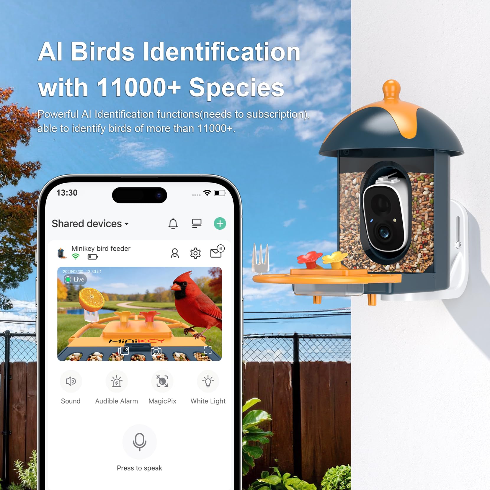 Smart Bird Feeder mit Kamera Outdoor Vogelhaus: AI identifiziert 11000+ Arten, 2K HD, Ankunftswarnungen, solarbetrieben, blau-orangefarbenes zweifarbiges Design, Kolibri-freundlich, Geschenk für