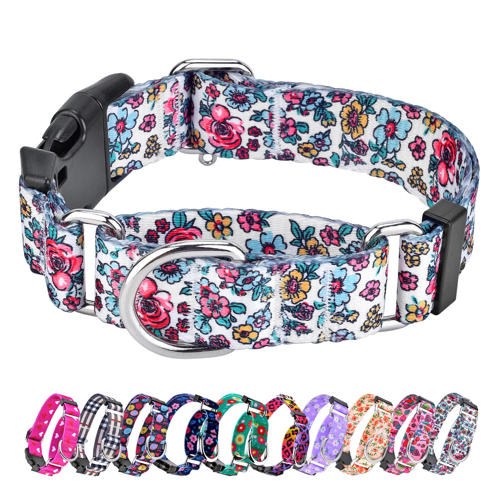 Martingale Hundehalsband – Ausbruchsicher, Rutschfest | Größe M (35-53 Cm), 2,5 Cm Breit | Aus Nylon Mit Metallschnallen