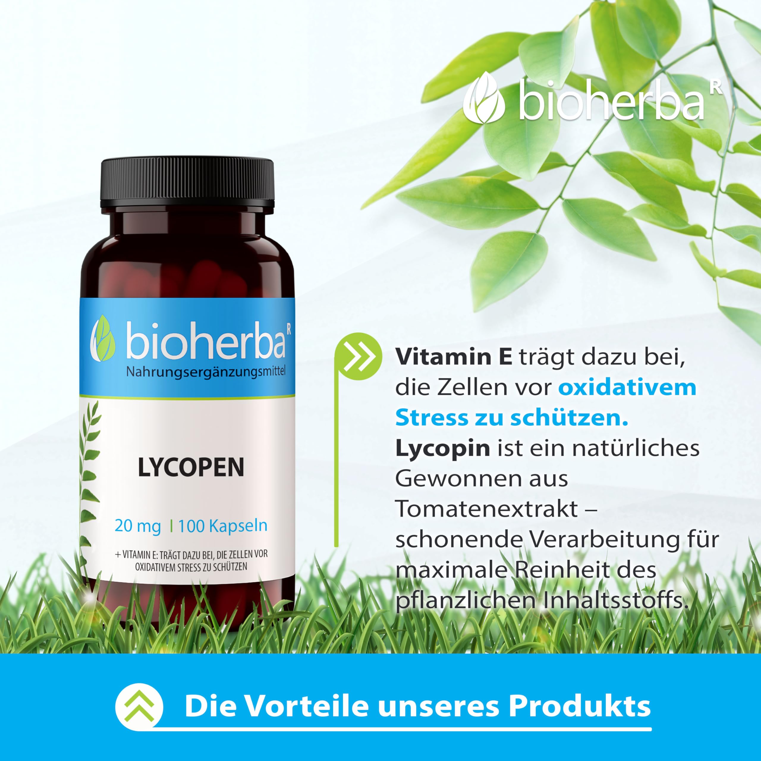 Lycopin Kapseln – 300 Stück mit 20 mg Lycopin und Vitamin E aus Tomatenextrakt von BIOHERBA PZN 19642793
