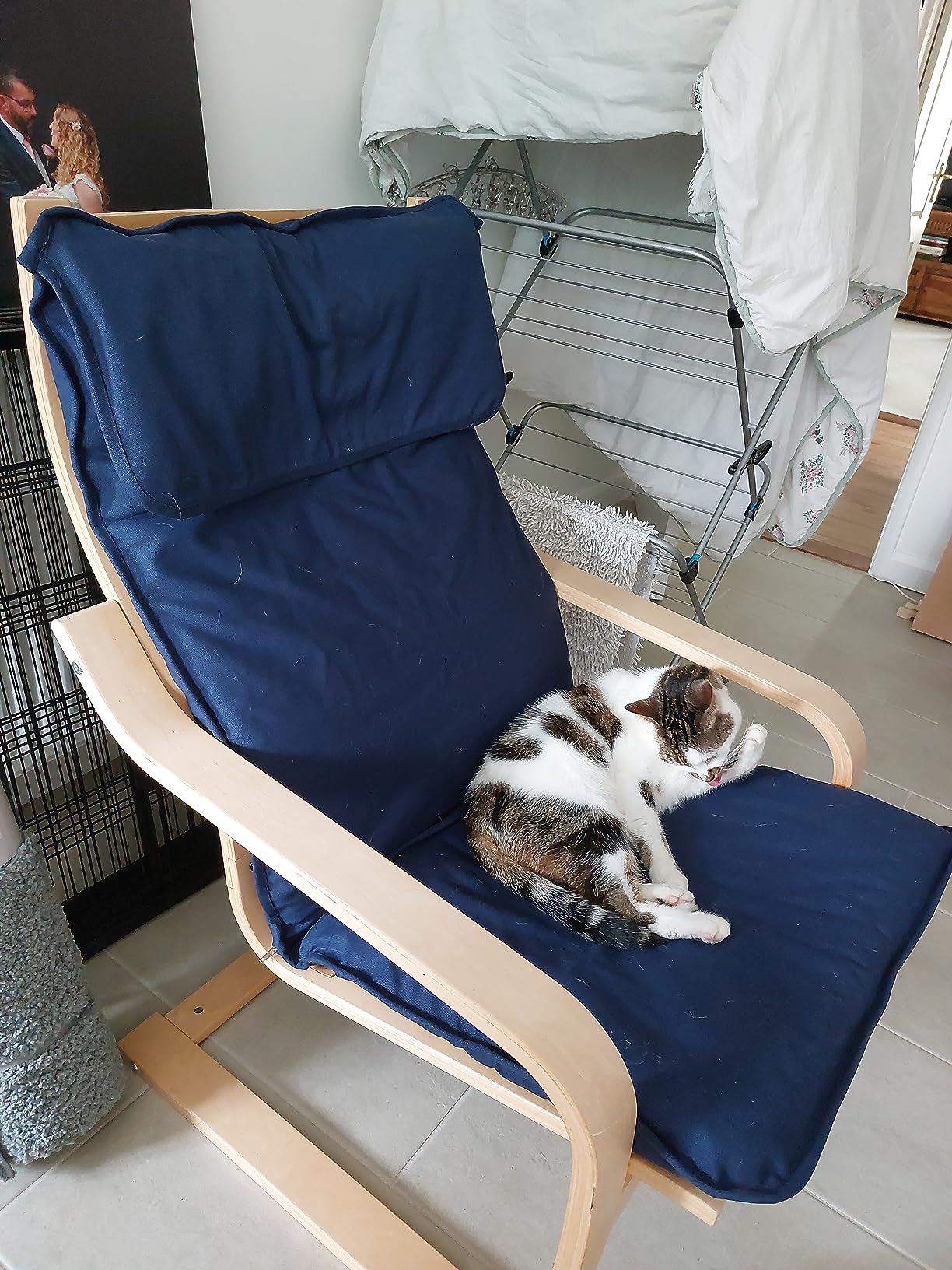 Vinylla Armchair Replacement Cover Made for Ikea Poang Chair (Cushion Design 1, Polyester