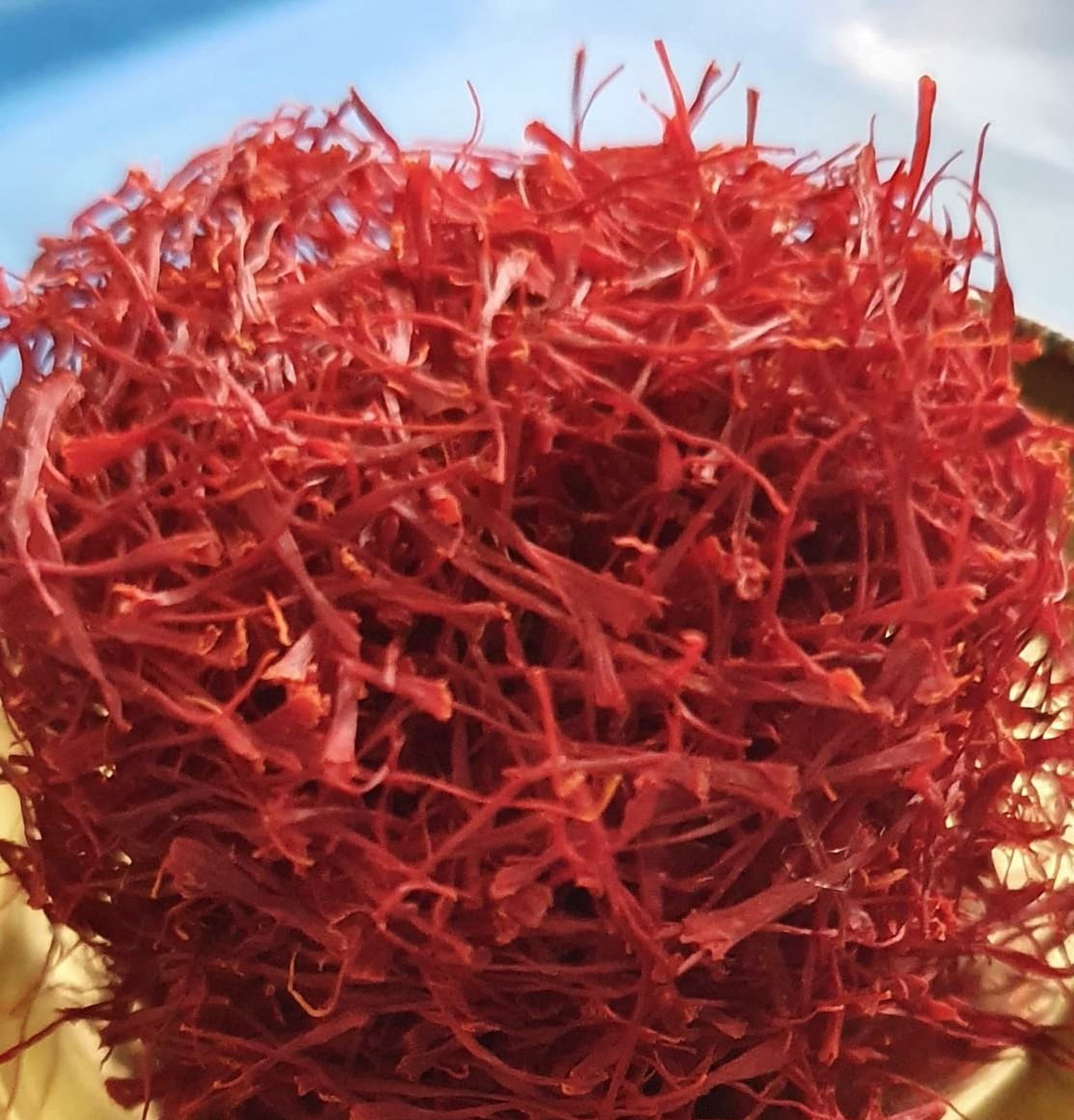 8gm Saffron Premium Zafrano Red Gold Spice Kesar Threads No Additive GRADE A Negin
